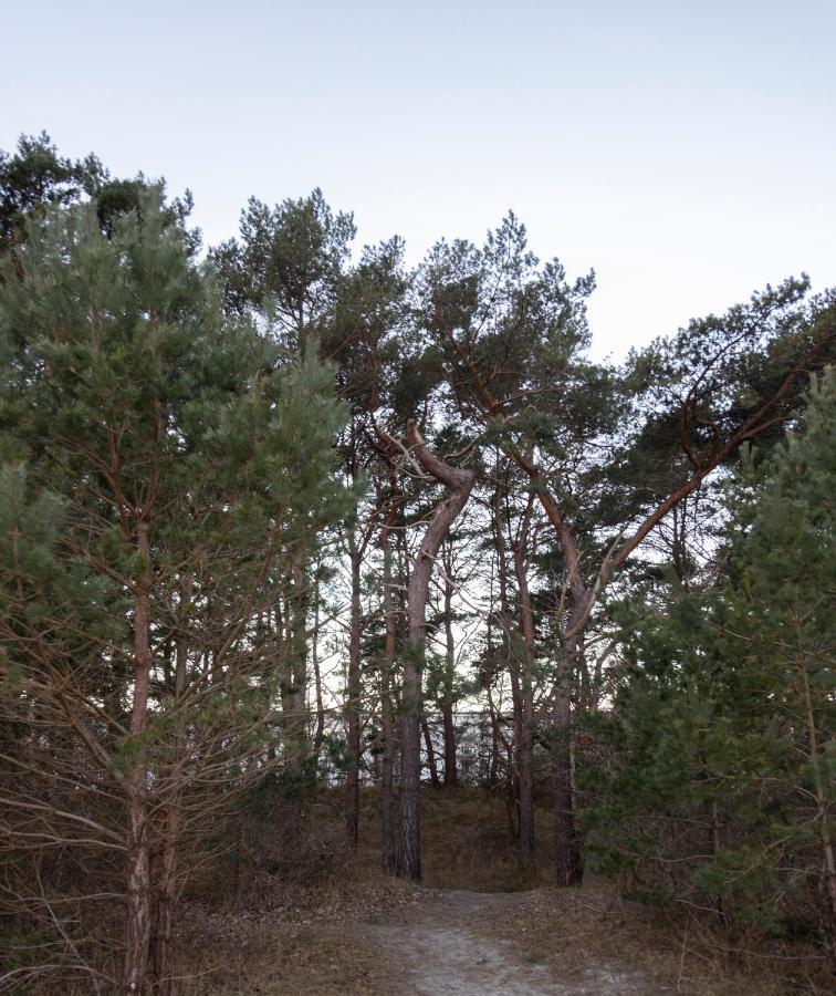 Luxus-Maisonette Fuer Die Grosse Familie Mit Direktem Strandzugang Binz Exteriér fotografie